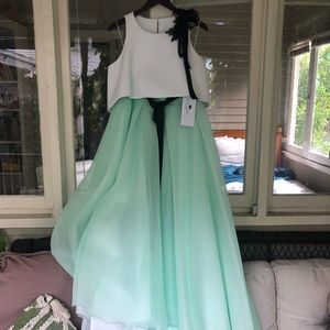 2 piece pretty pastel Skirt and Matching top